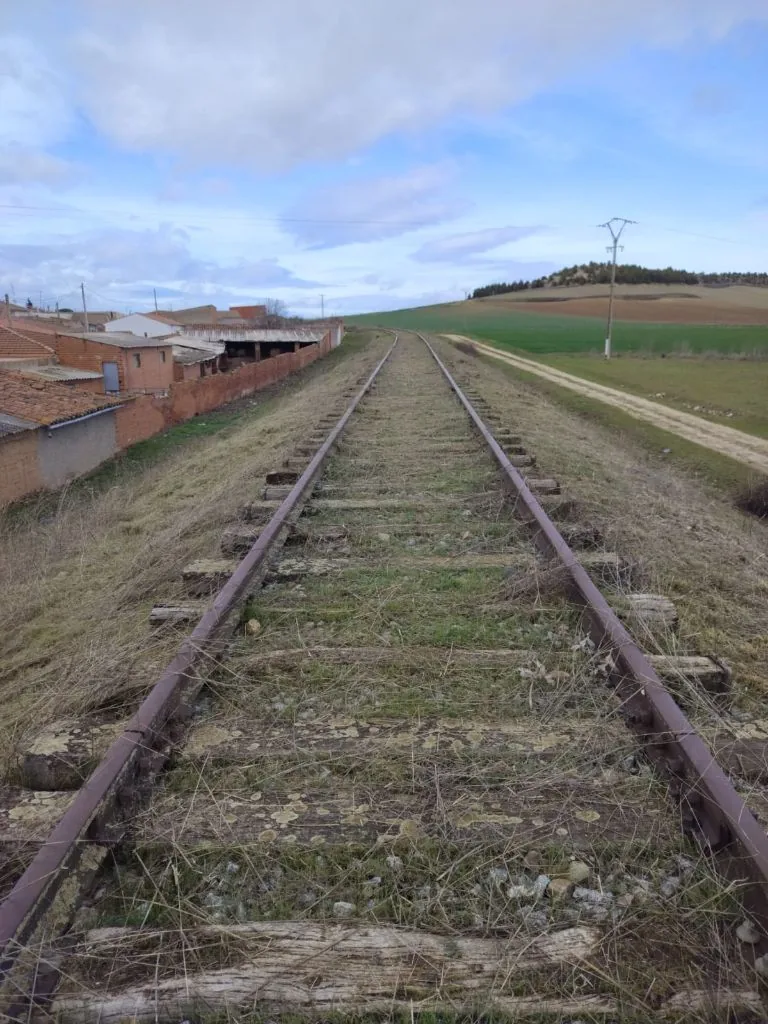 Trabajo de limpieza y desbroce en vía ferroviaria con acumulación de vegetación y maleza en Zamora